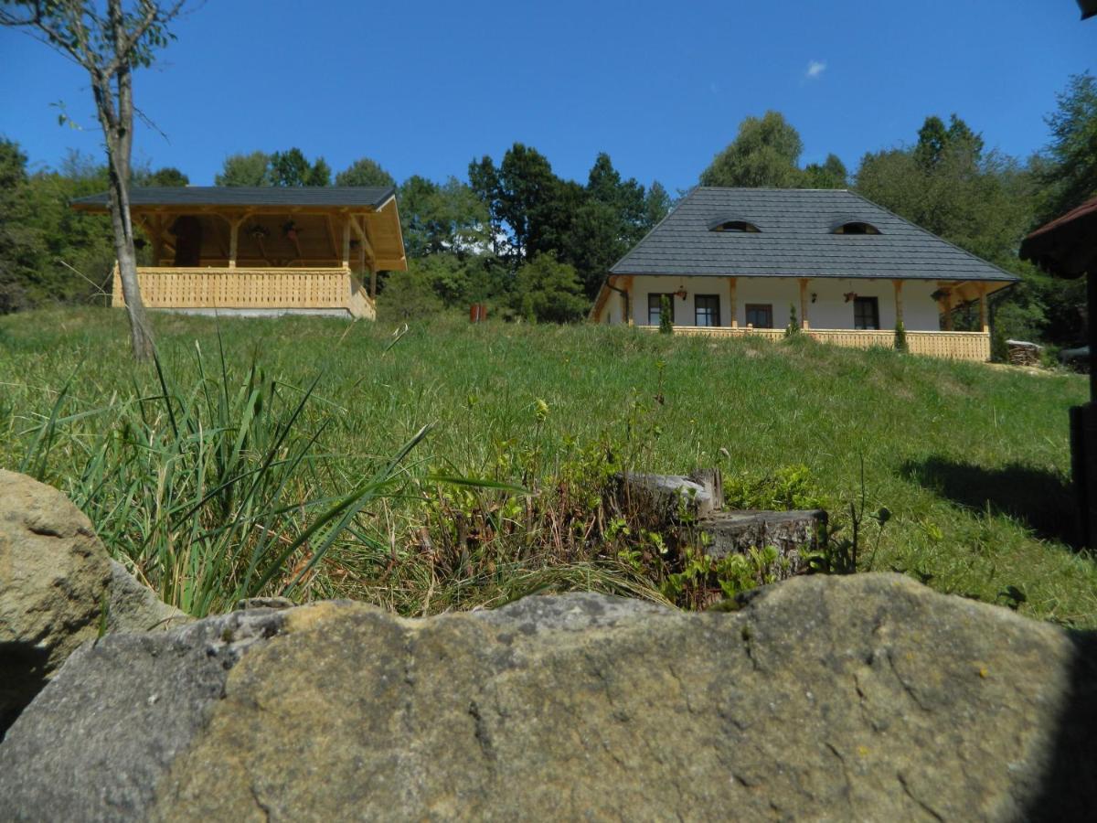 Casa Berg Hotel Vişeu de Sus Exterior foto