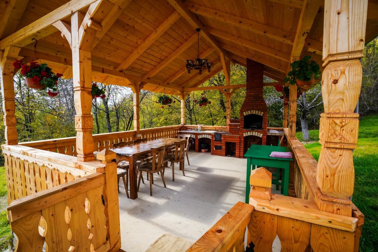 Casa Berg Hotel Vişeu de Sus Exterior foto