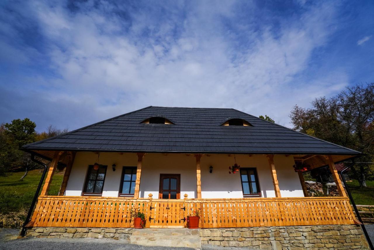 Casa Berg Hotel Vişeu de Sus Exterior foto
