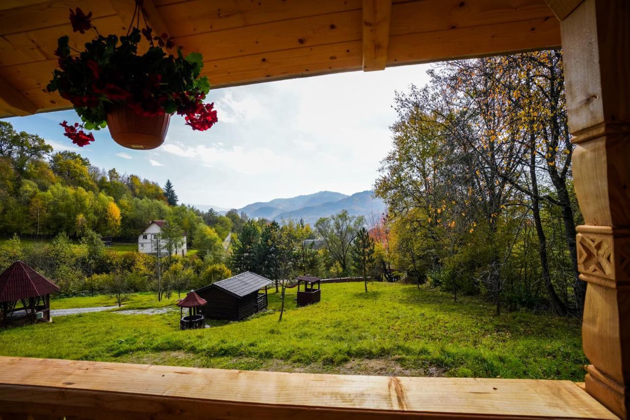 Casa Berg Hotel Vişeu de Sus Exterior foto