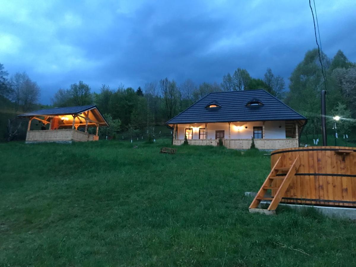 Casa Berg Hotel Vişeu de Sus Exterior foto