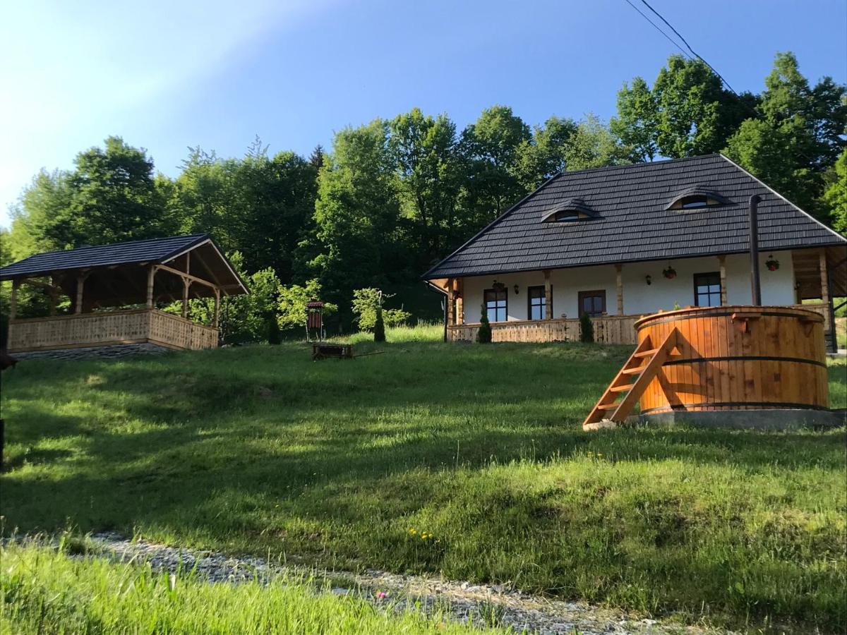 Casa Berg Hotel Vişeu de Sus Exterior foto