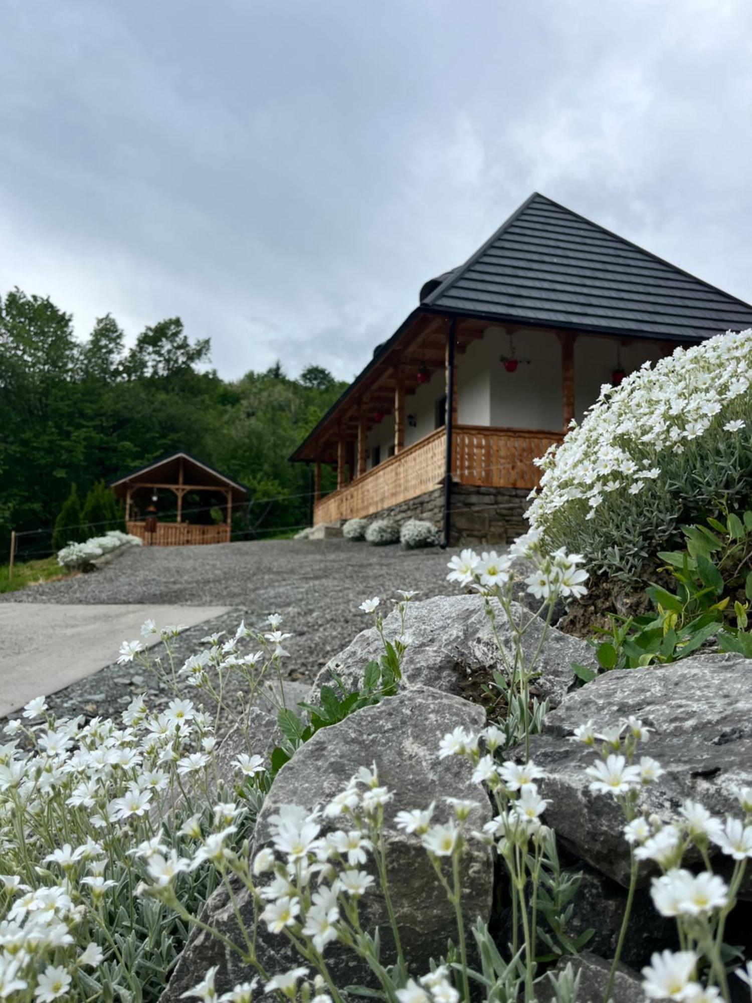 Casa Berg Hotel Vişeu de Sus Exterior foto