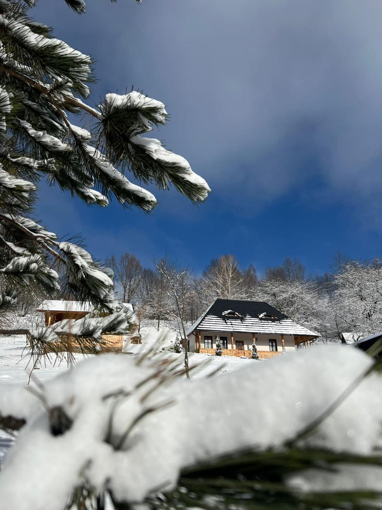 Casa Berg Hotel Vişeu de Sus Exterior foto