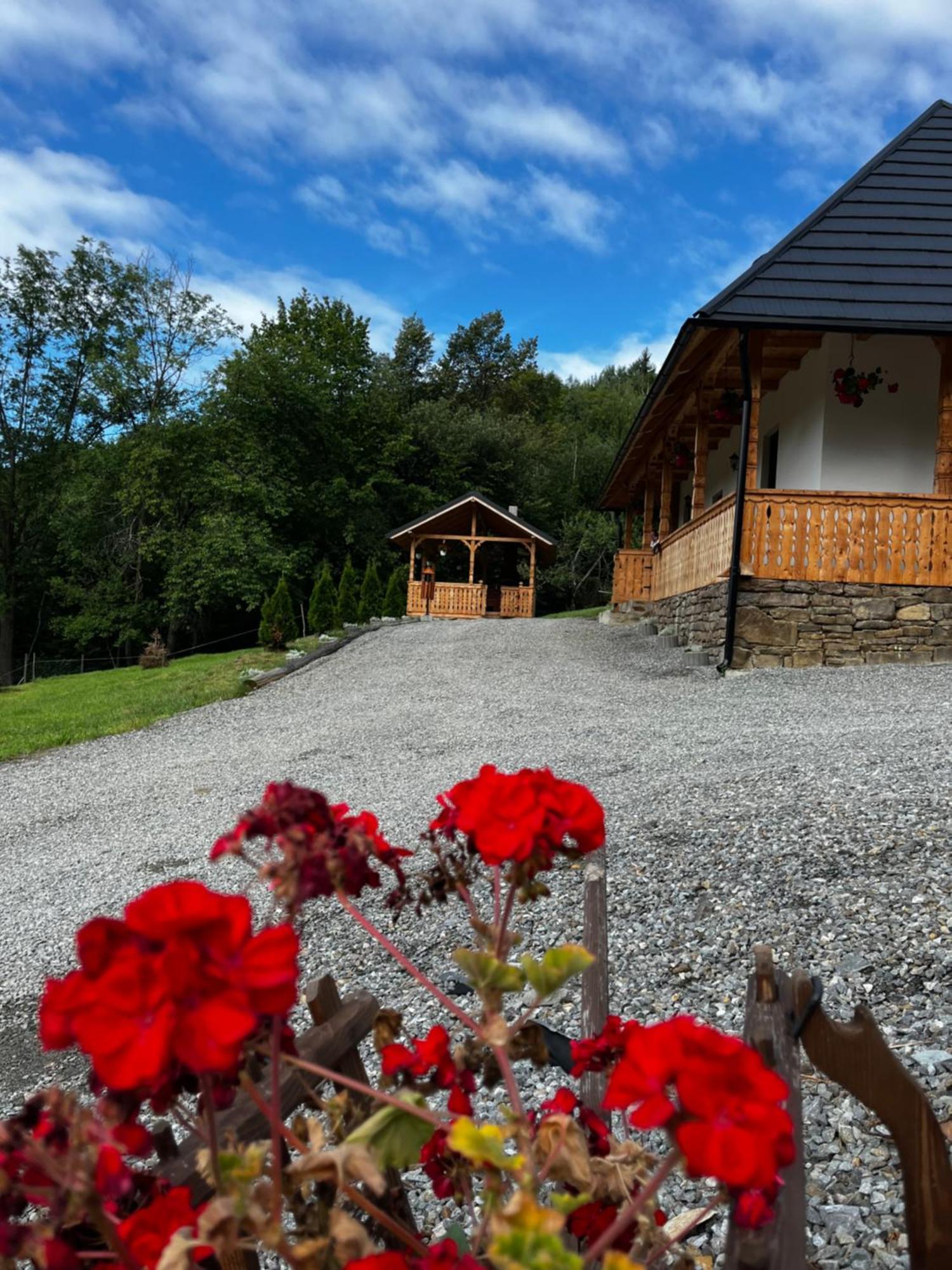 Casa Berg Hotel Vişeu de Sus Exterior foto