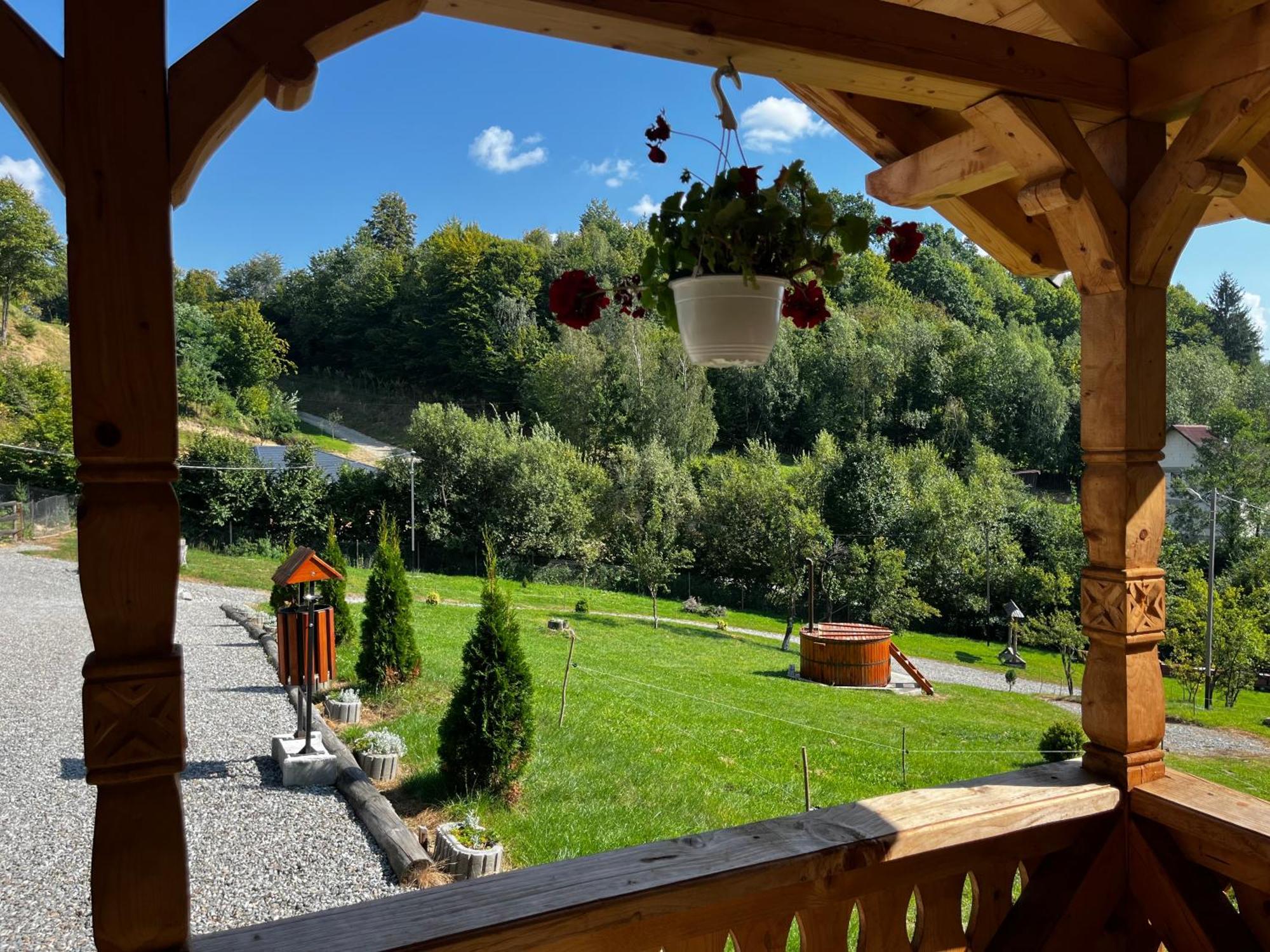 Casa Berg Hotel Vişeu de Sus Exterior foto
