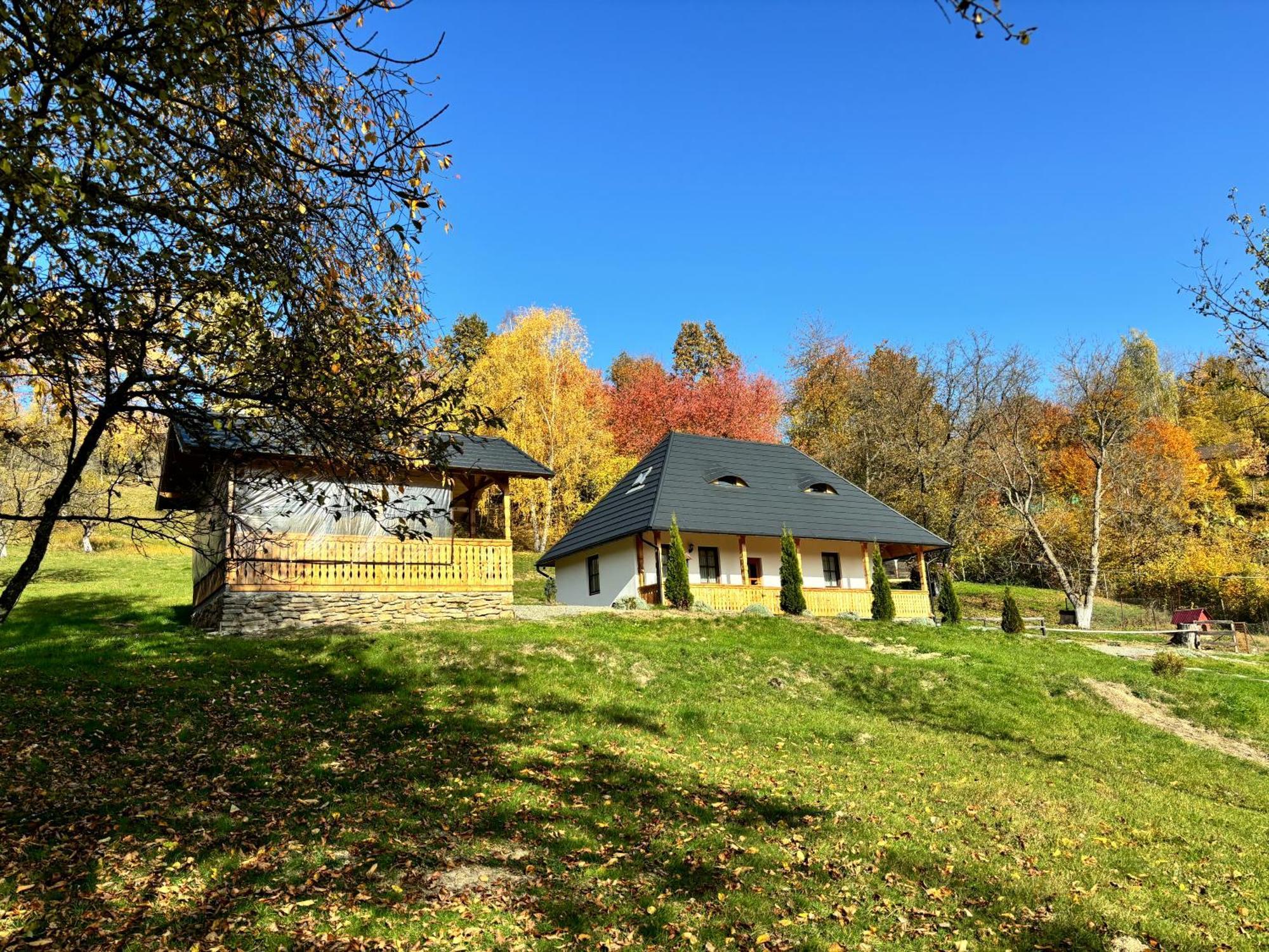 Casa Berg Hotel Vişeu de Sus Exterior foto