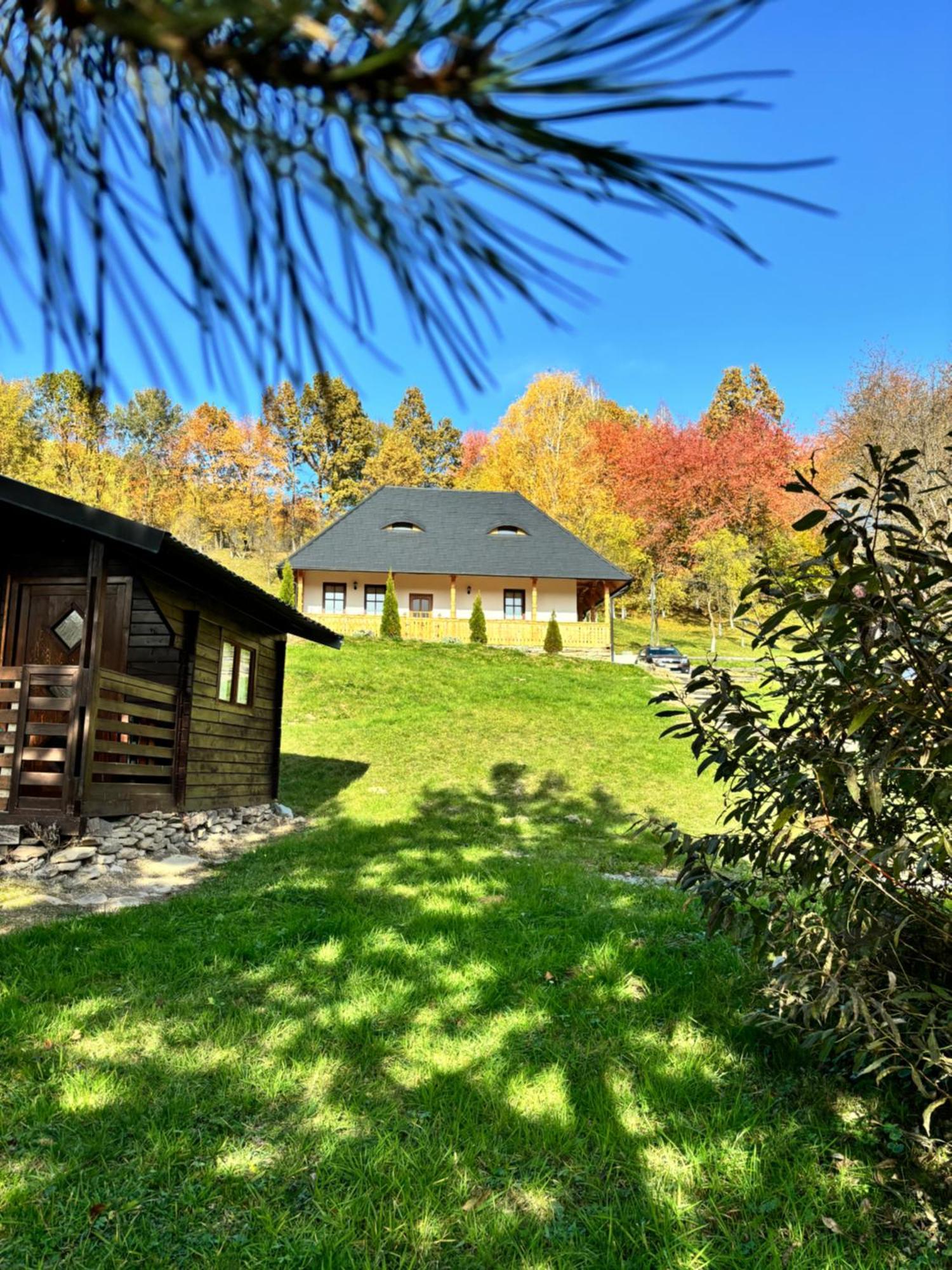 Casa Berg Hotel Vişeu de Sus Exterior foto