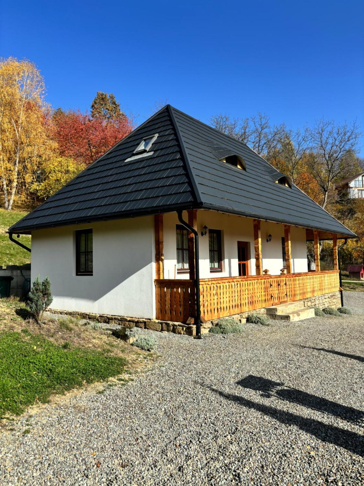 Casa Berg Hotel Vişeu de Sus Exterior foto